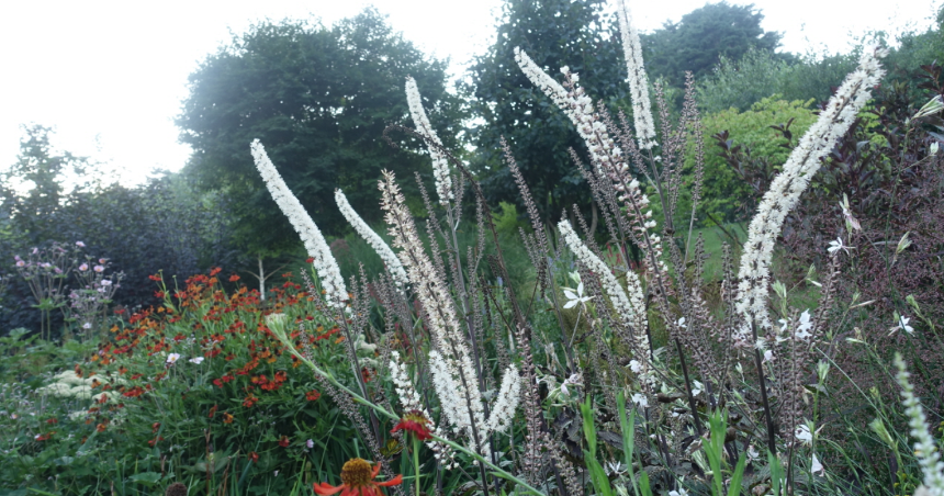 특색있고 아름다운 민간 정원 30선 추천 여행 - 12. 인제 찍박골 정원