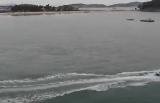 달리도
