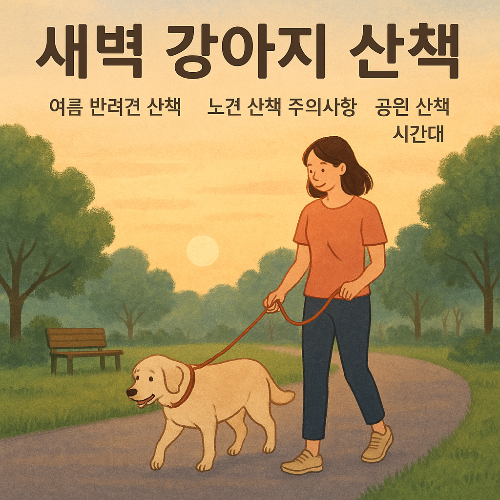 Alt 속성 문제 해결 설명 이미지