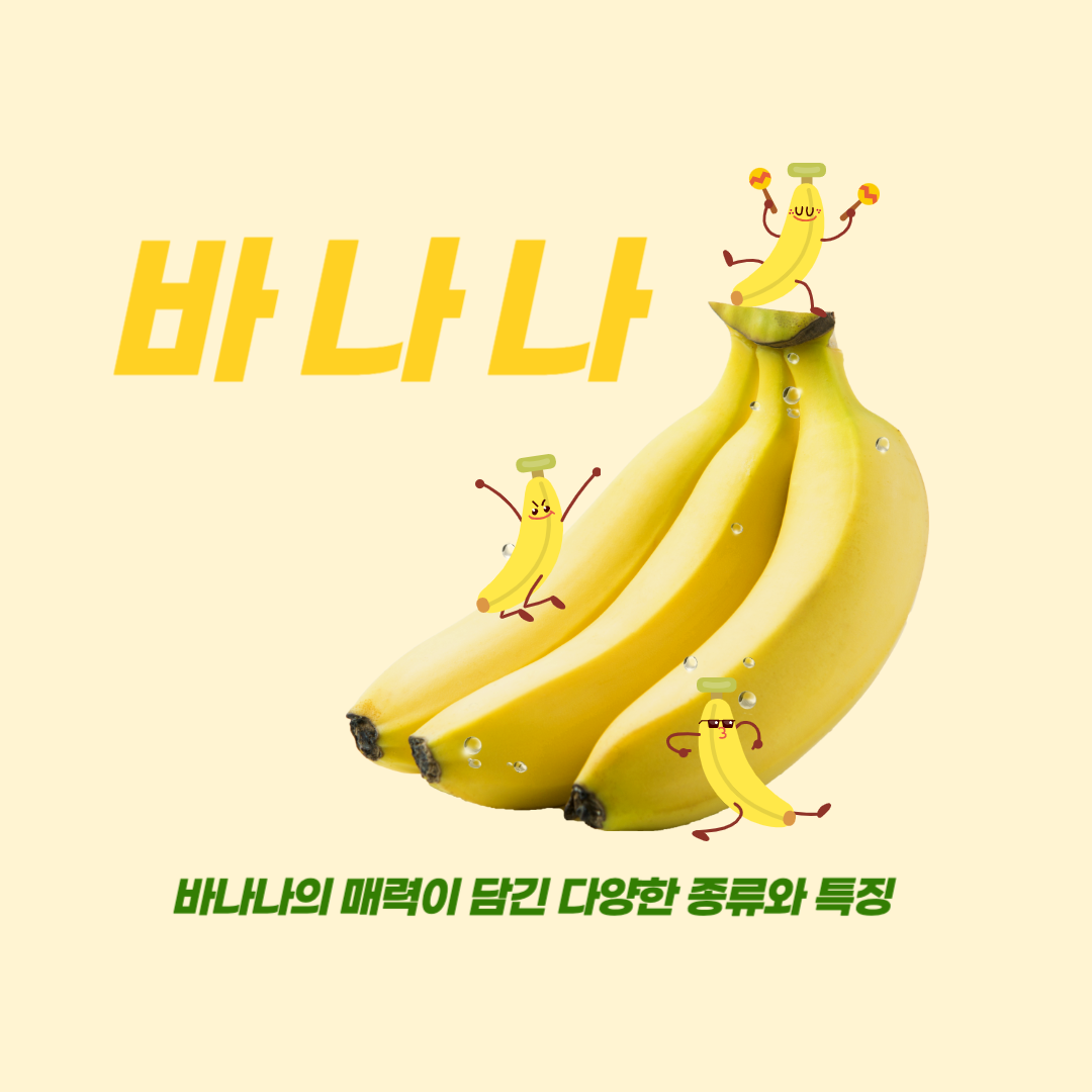 바나나의 매력이 담긴 다양한 종류와 특징