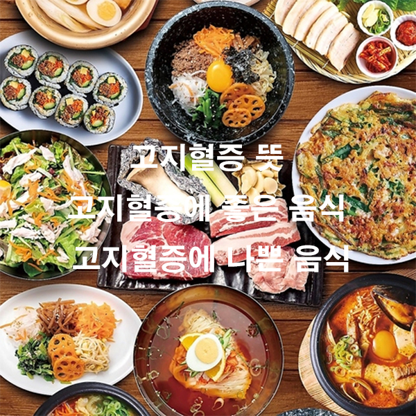 고지혈증 뜻 고지혈증에 좋은 음식 고지혈증에 나쁜 음식