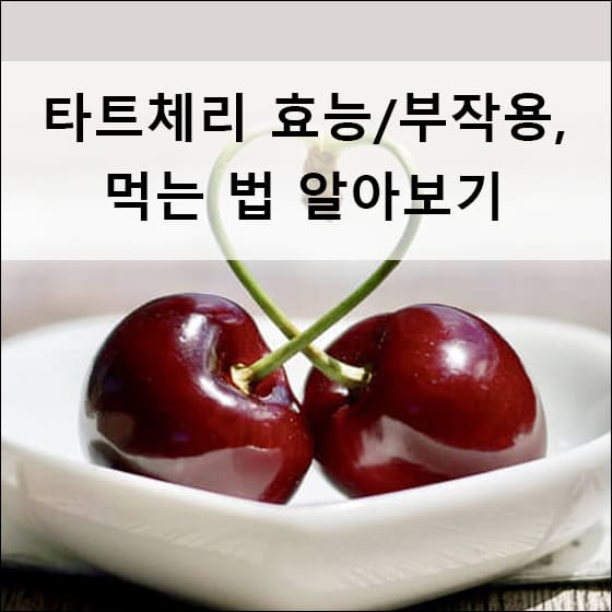 타트체리 두 개
