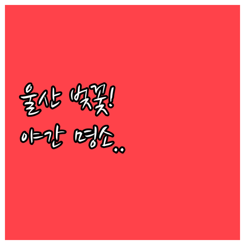 울산 벚꽃 개화일 만개 시기 및 야간..