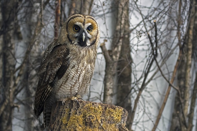 2025 난방비지원금 지원금액&amp;#44; 지급시기&amp;#44; 가구별 에너지 바우처 금액표