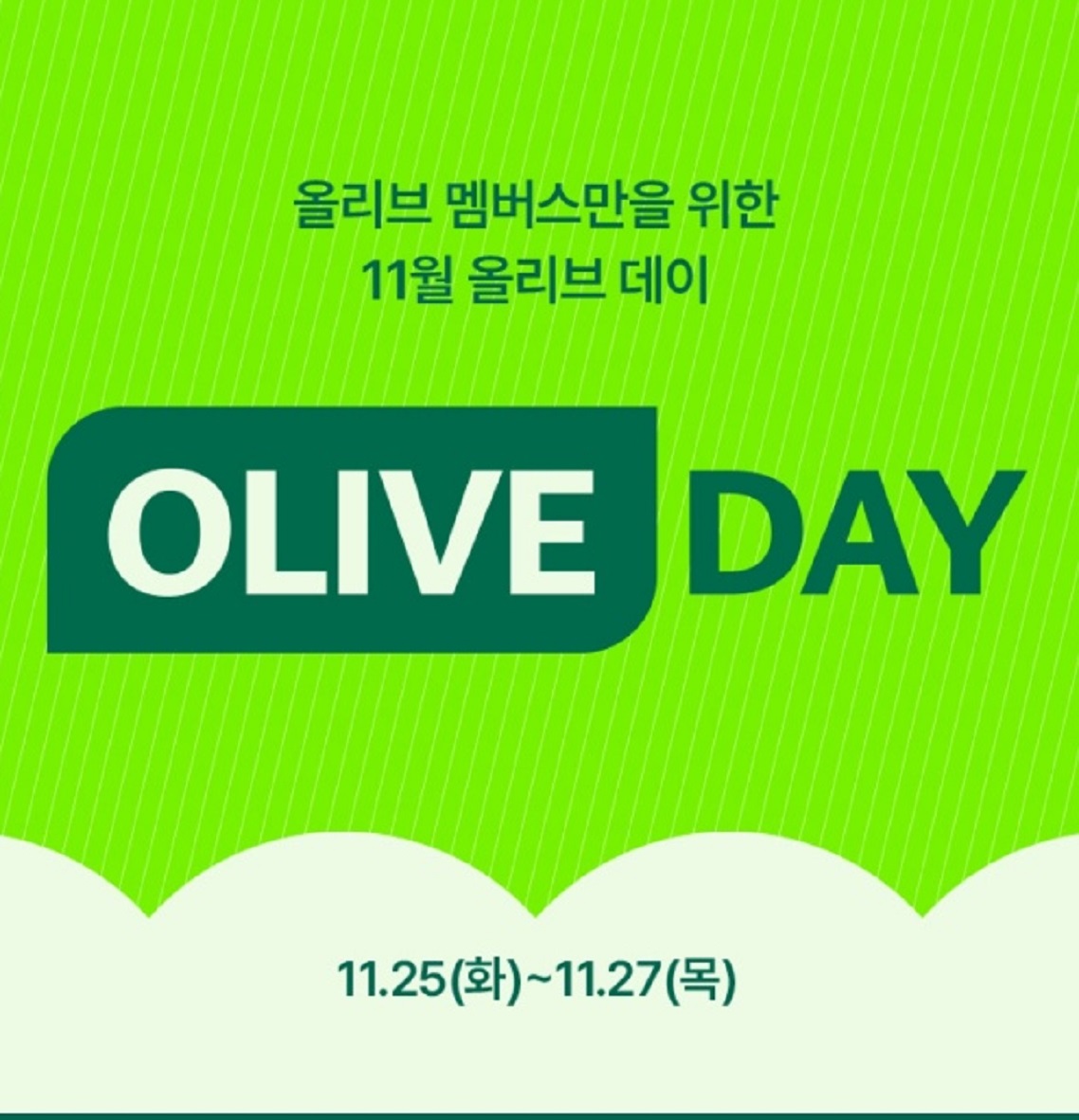 11월-올리브영-세일-올리브데이-올리브영할인