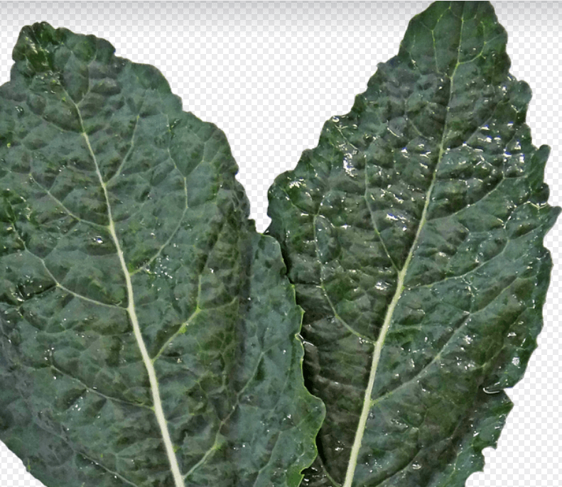 기미에 좋은음식