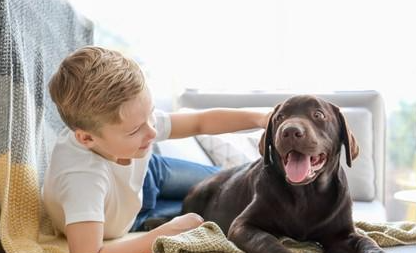 반려동물전문가