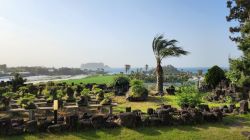 더비비스 제주 펜션 이미지 2