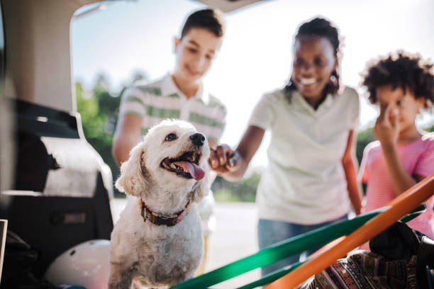 건강과 위생 관리 용품
