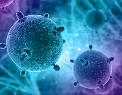 제로콜라, 정말 건강에 괜찮을까? 제로콜라 성분과 아스파탐 논란