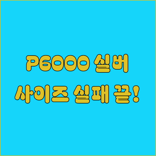 나이키 P6000 메탈릭 실버 발편한..
