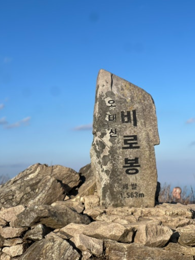 2025년 11월 중순~하순 오대산 비로봉 단풍 등산 가이드