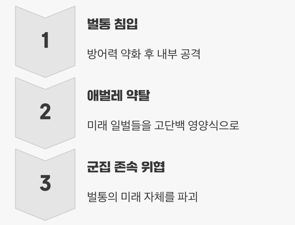 미래의 희망까지 앗아가는 약탈