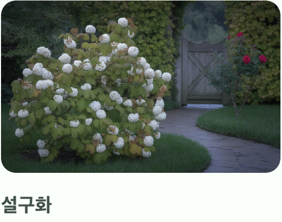 우리 집 정원에는 어떤 나무가 좋을까?