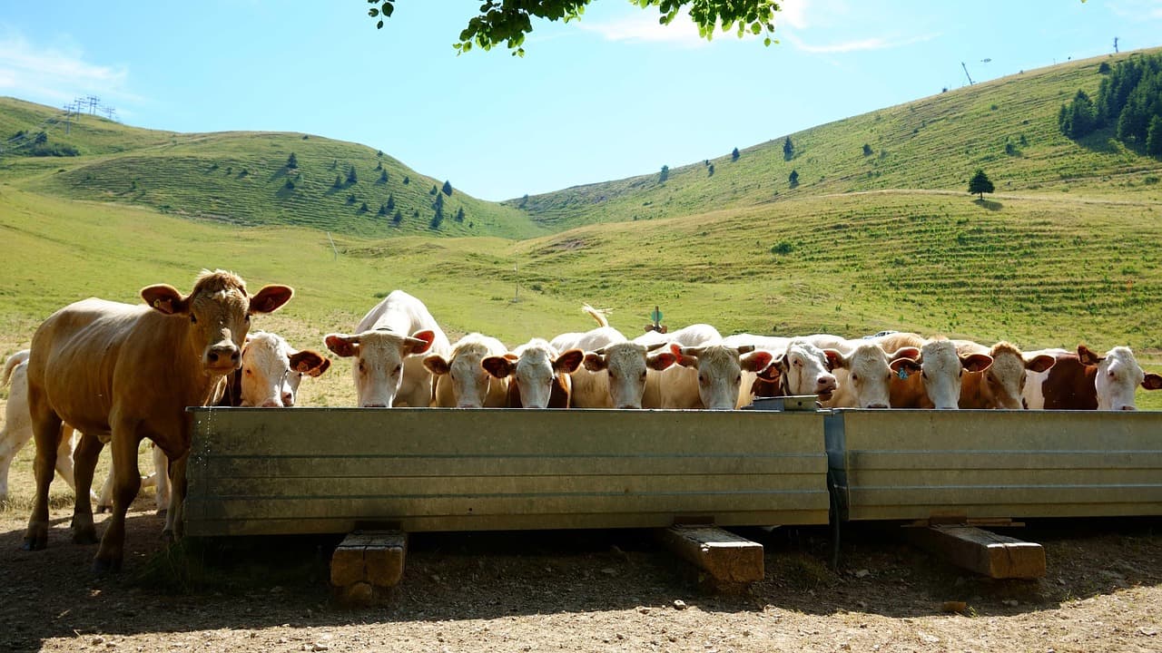 채무조정 완벽 가이드: 빚으로부터 벗어나는 현명한 방법