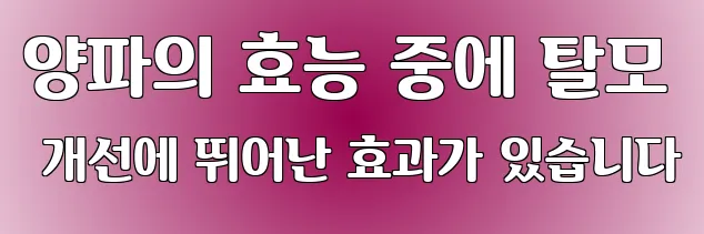 양파의 효능 중에 탈모 개선에 뛰어난 효과가 있습니다
