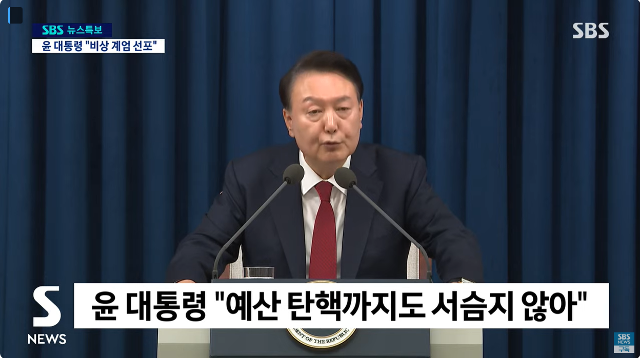 윤대통령 비상계엄 선포 이유