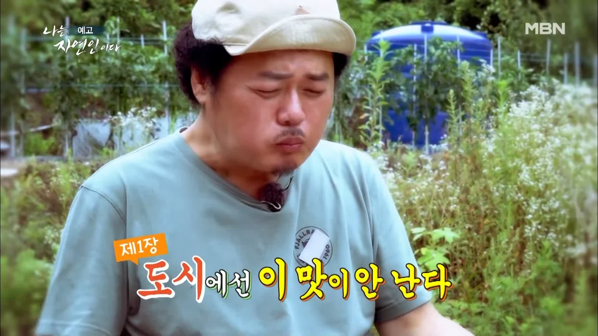 이승윤 윤택 나는 자연인이다 513회 오랜 장사로 건강을 잃은 자연인 나의 다채로운 생활 이재홍 소개 및 출연 다시보기