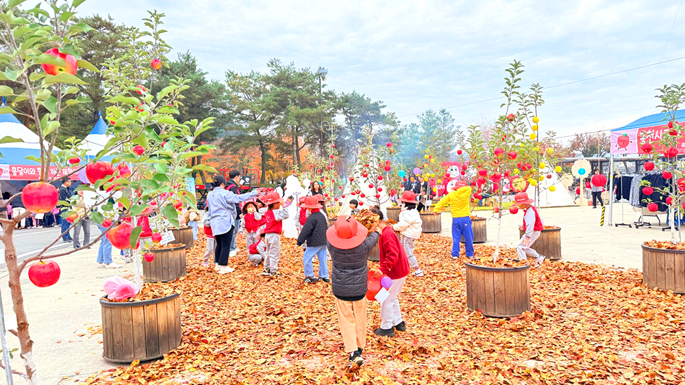 홍천사과축제