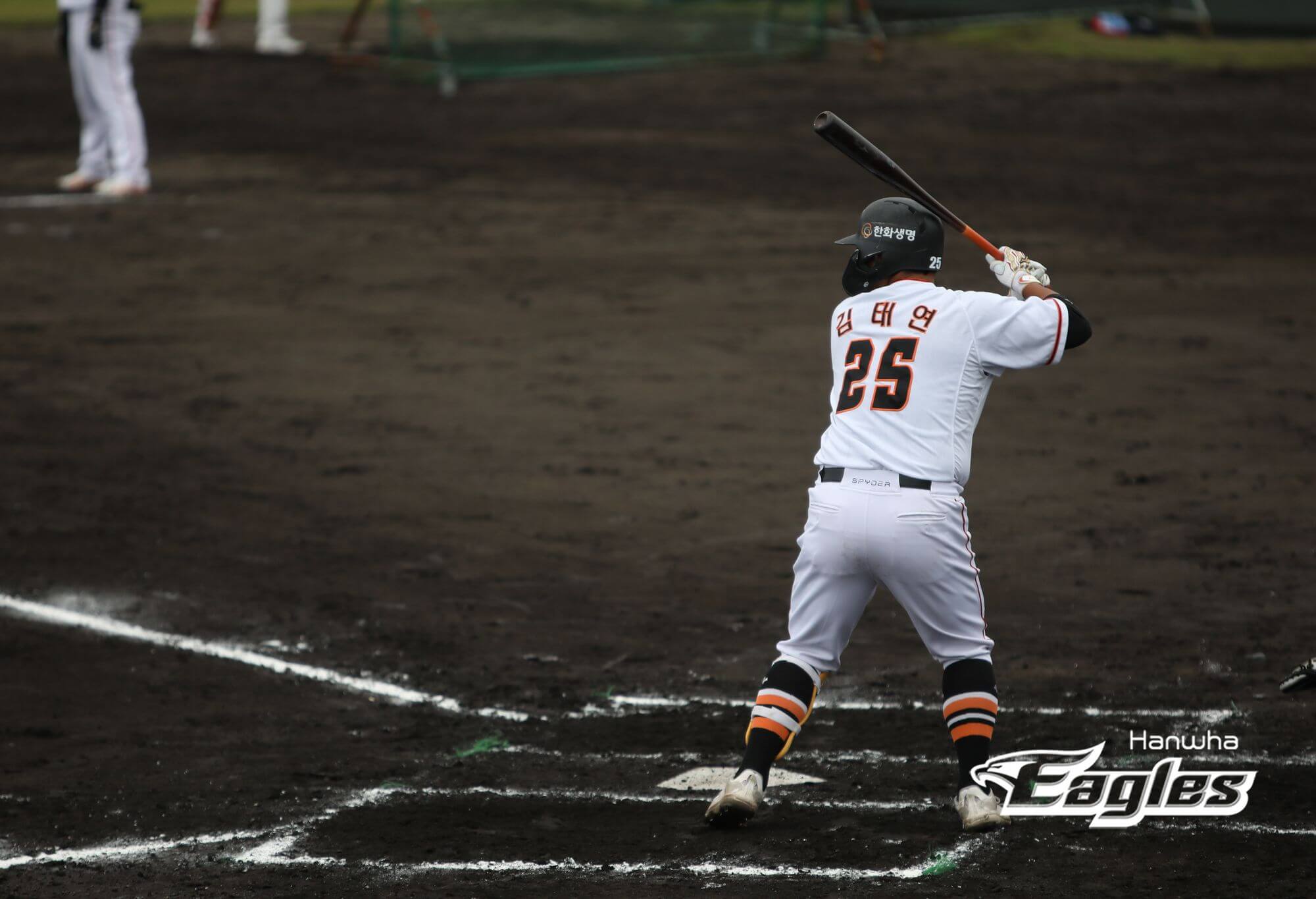 2024 한화 이글스 티켓 할인 예매, 무료 주차, 좌석 종류 및 특징, 경기일정 및 결과