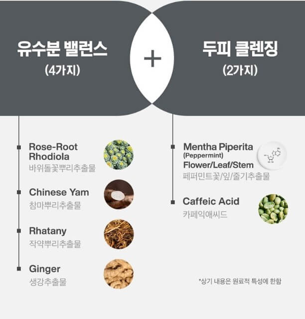 탈모샴푸 추천