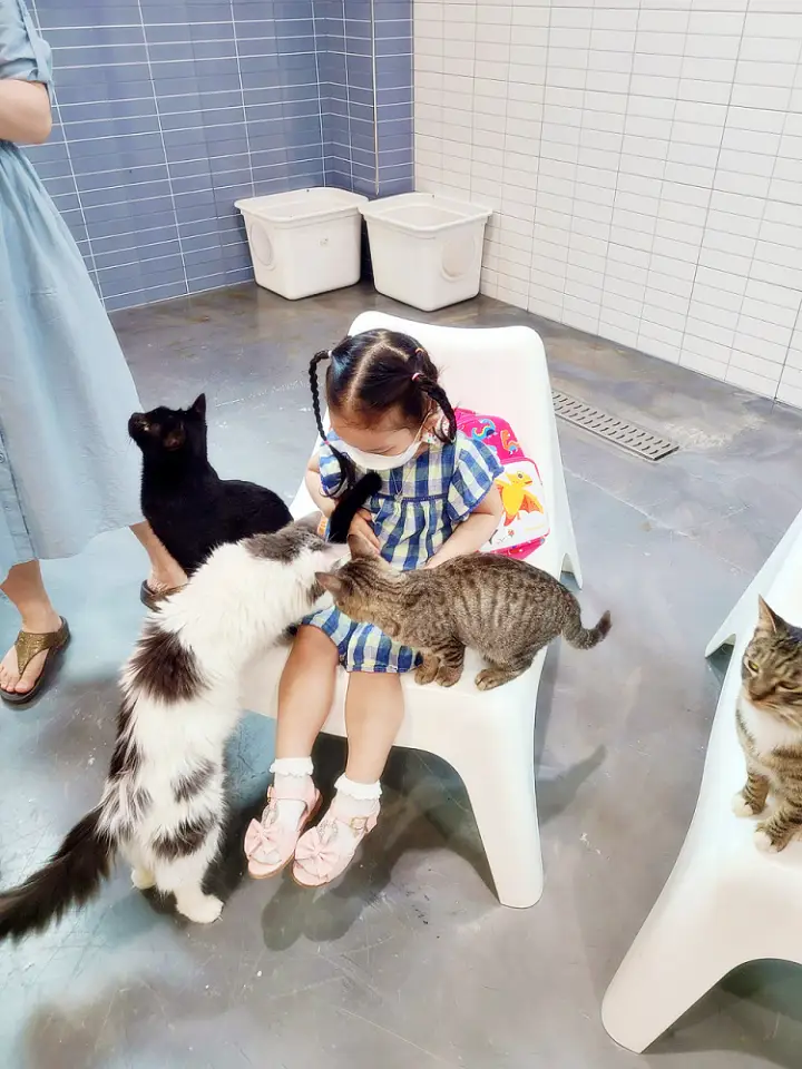생방송오늘저녁 여주 이천 가볼만한 동물체험 고양이 카페 동물농장