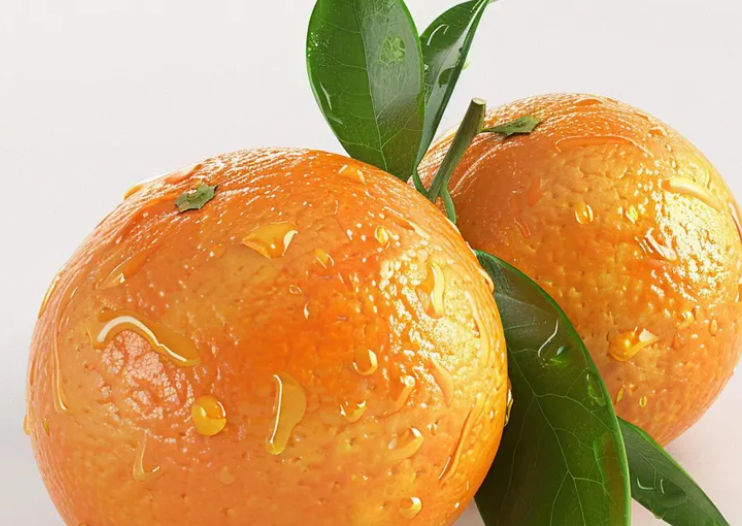 귤의 효능3