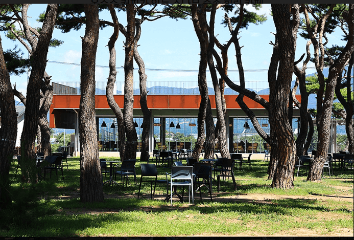 출처: 소울로스터리