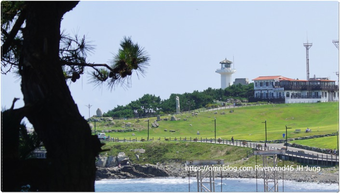 Green Field 간절곶 풍경