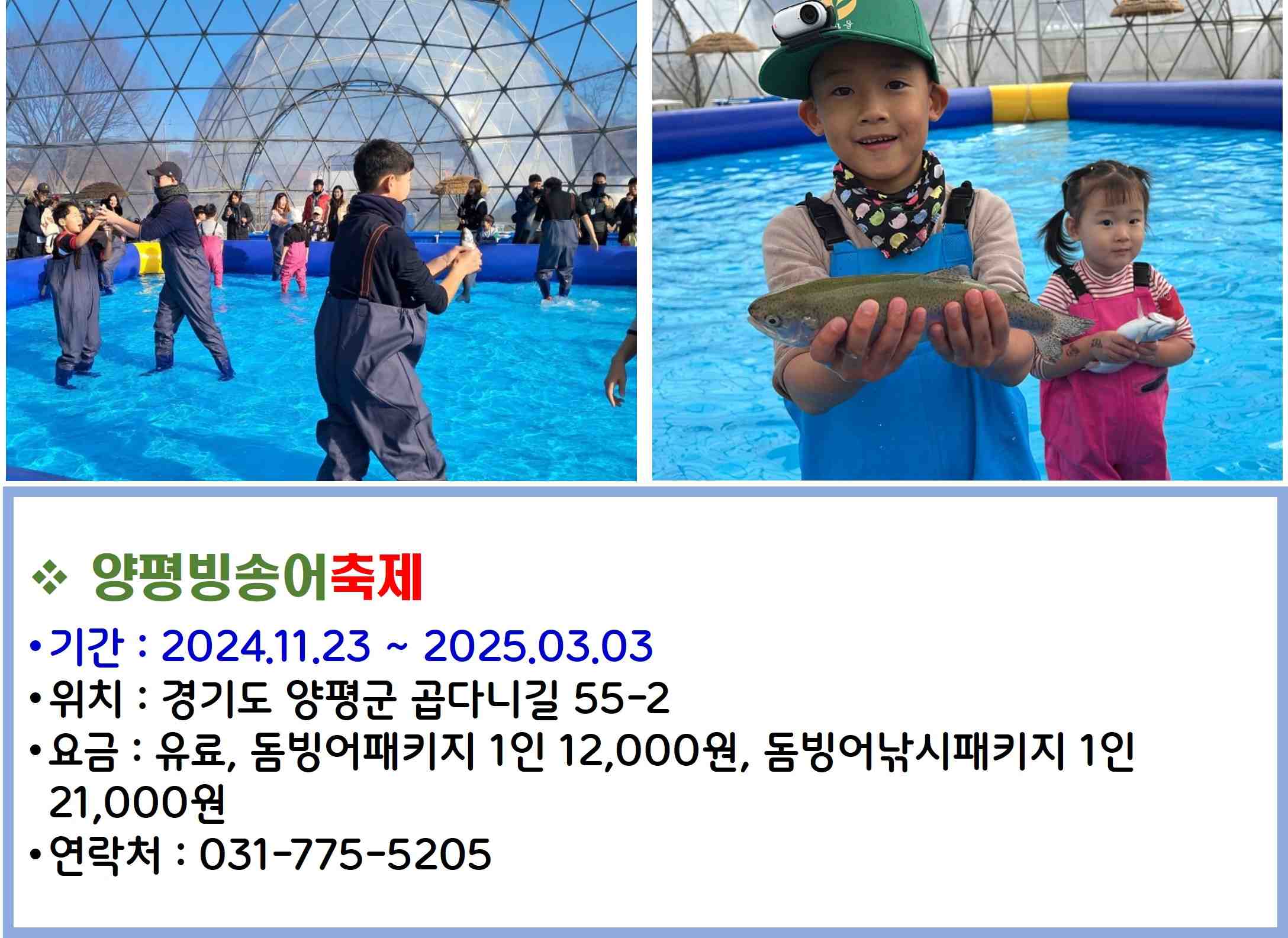 양평빙송어축제