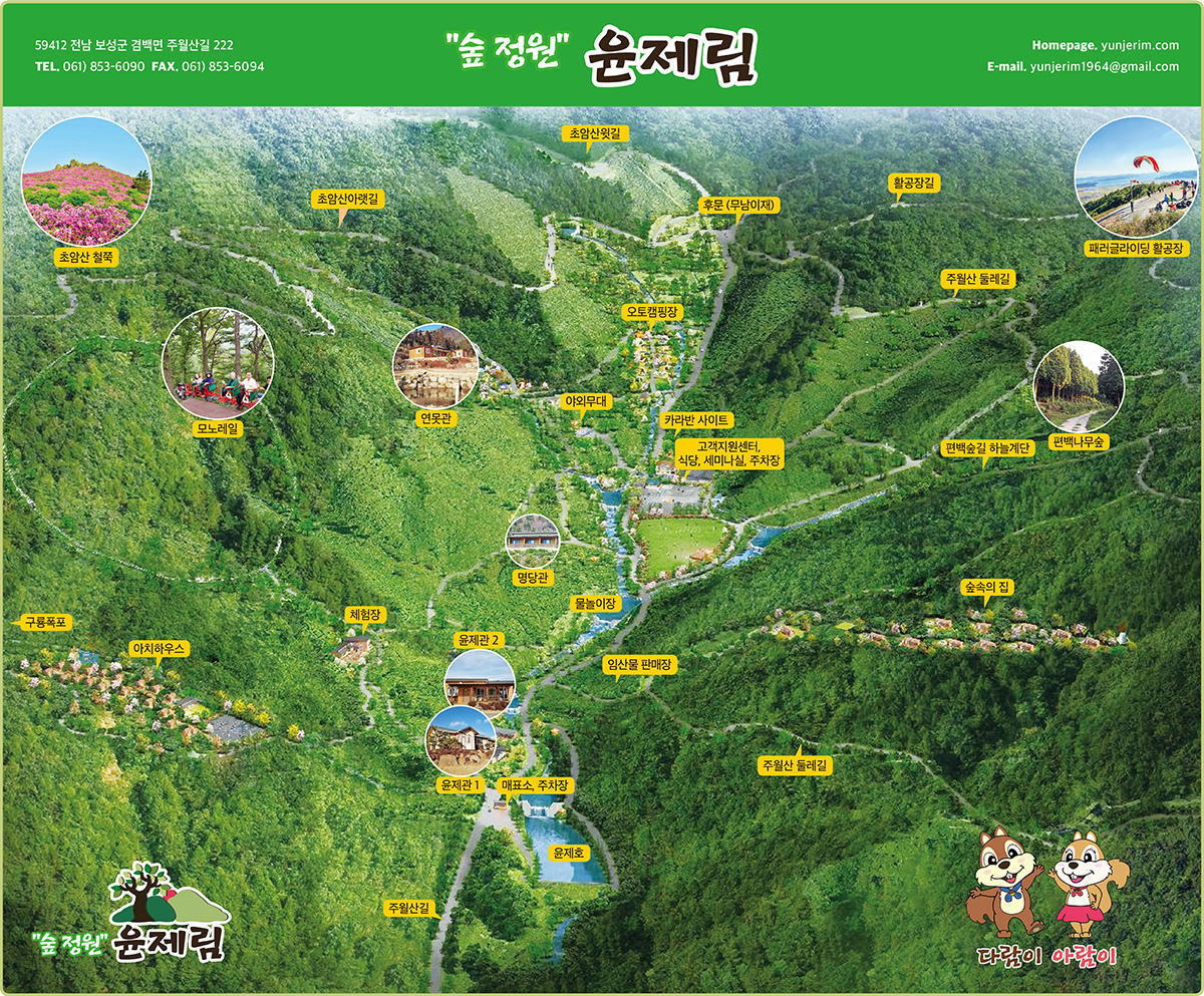 보성 아름다운 윤제림 숲 가는방법, 무료개방, 방문해야 하는 이유, 보성 가볼만한곳