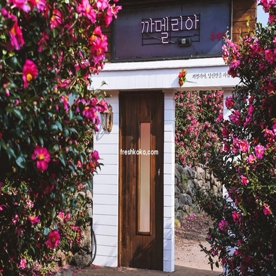 12월 축제 가볼만한곳 베스트10