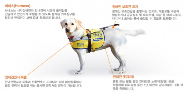 장애인 보조견 동반출입 거부 금지