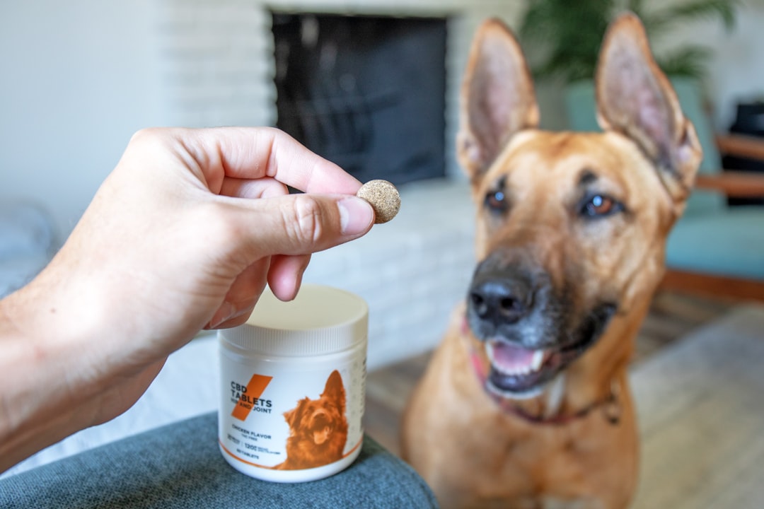 Dog health.