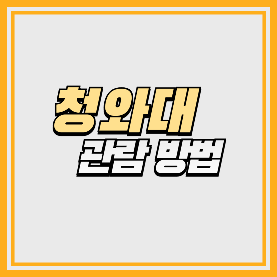 청와대 관람, 이재명 대통령 입주 전 마지막 기회!