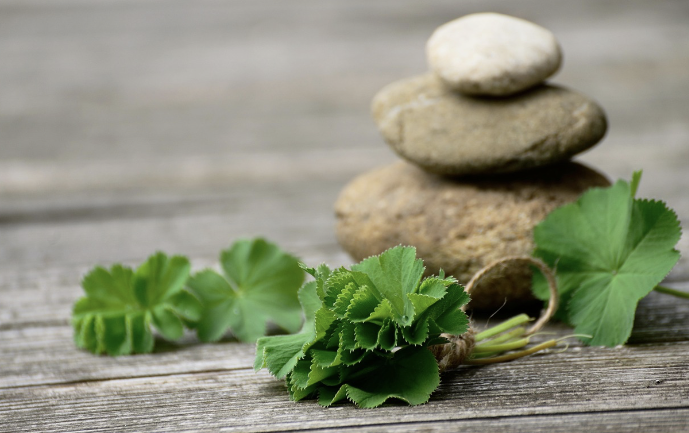 동양과 서양이 서로 달리 사용한 약초 이야기