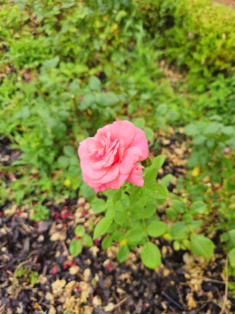 전문가들이 말하는 성공적 복지 시스템