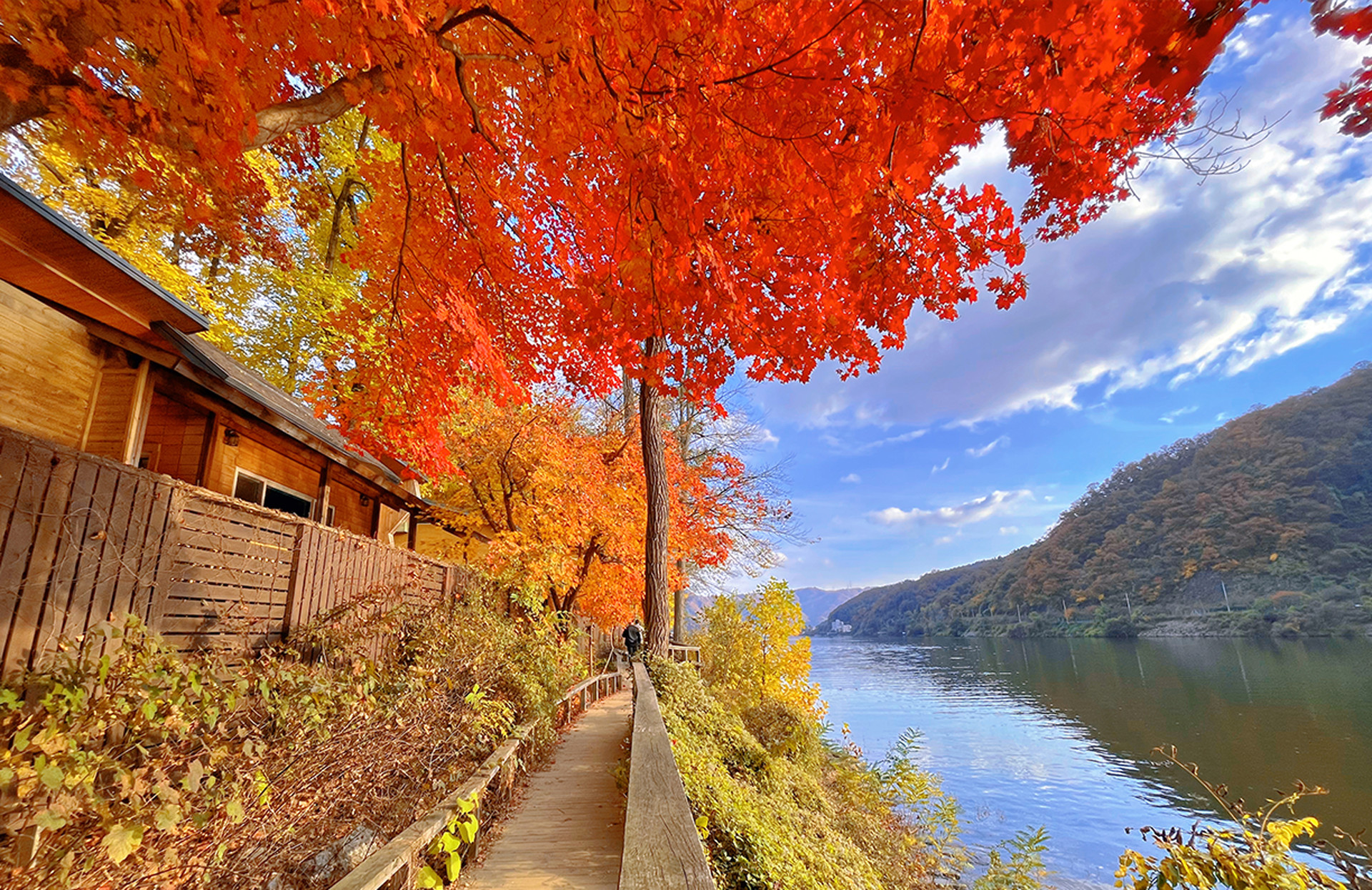 남이섬 숙박(숙소) 호텔정관루