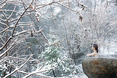 제천 포레스트 리솜 이미지
