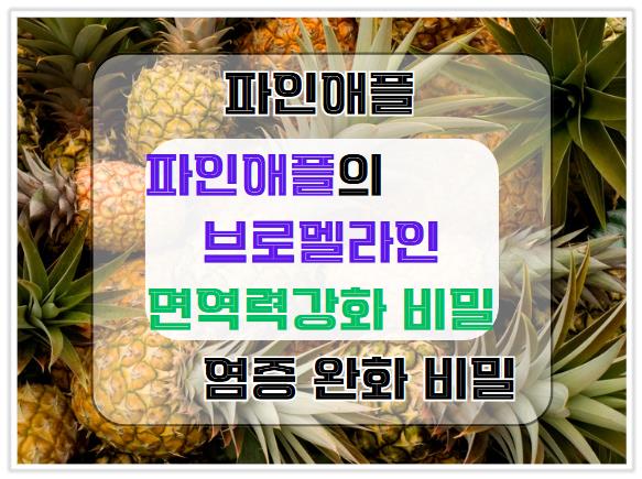파인애플의 브로멜라인: 면역력 강화와 염증 완화의 비밀