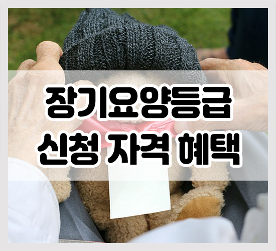 장기요양등급