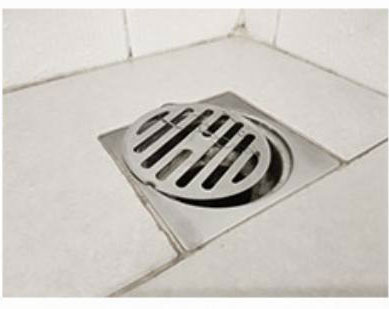 세스코 가정집 비용