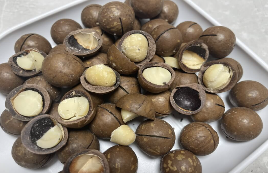 마카다미아 이미지