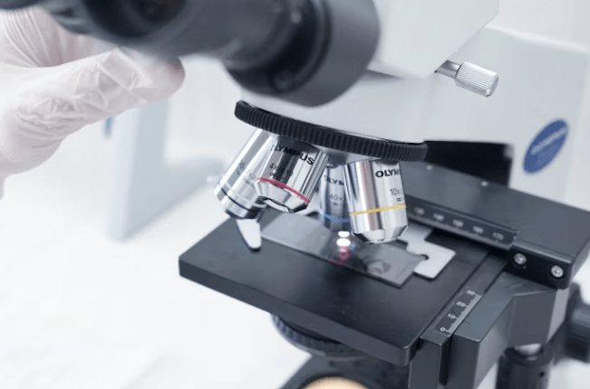 취업률 1위 인기학과 TOP 5! 유망 학과 선택 가이드