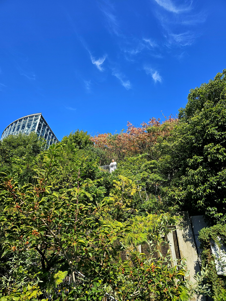 아크로스 후쿠오카 내 울창한 숲