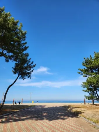 흰 고래의 흼에 대하여 소설 해석과 상징적 주제 분석_5