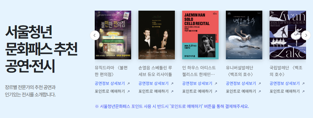 서울청년문화패스 홈페이지 공연 예시