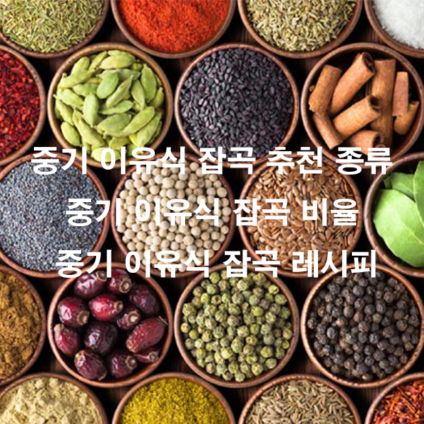 중기 이유식 잡곡 추천 종류 중기 이유식 잡곡 비율 중기 이유식 잡곡 레시피