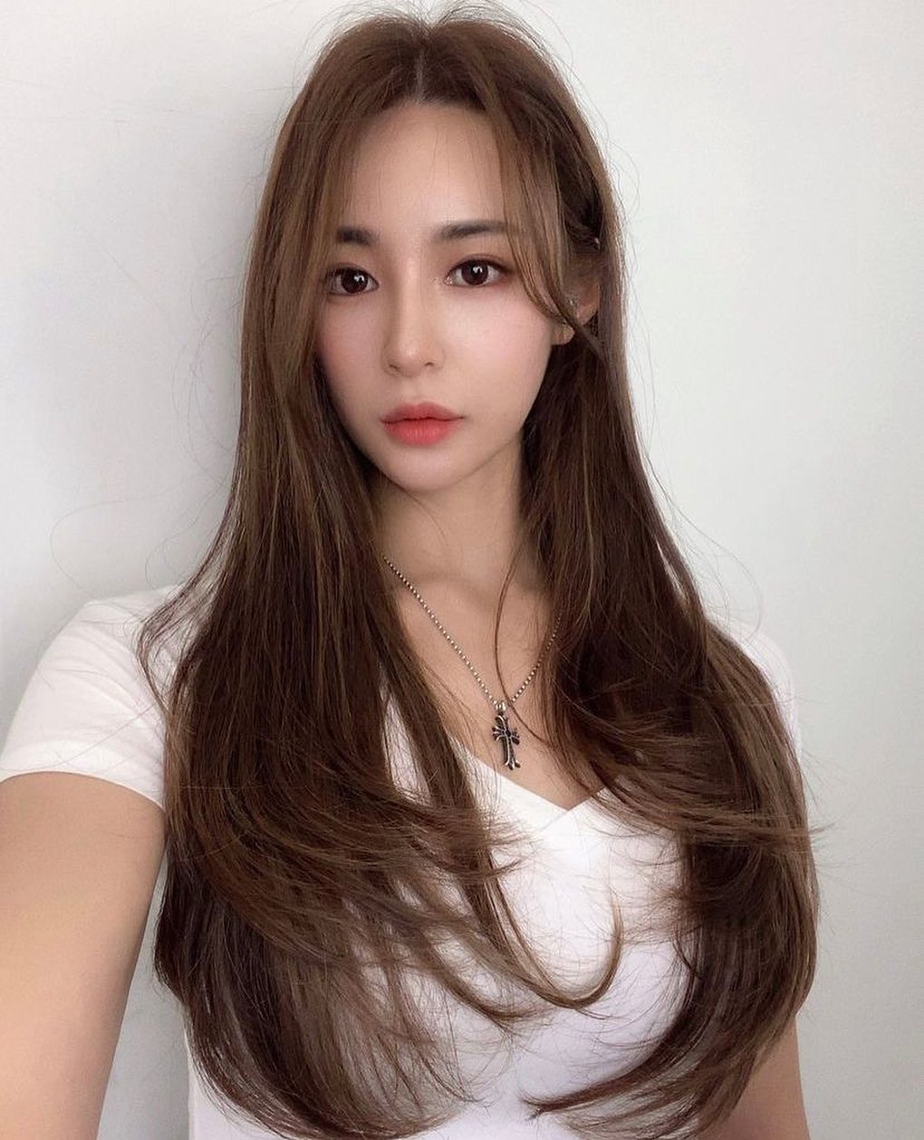 피티니스 모델 이송이