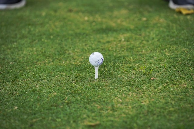 나를 기다리는 골프공